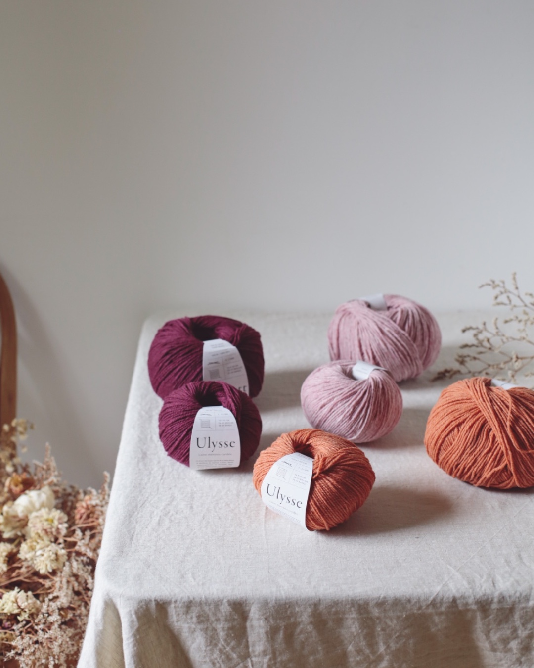 « Pêche de vigne », « colchique » et « goyave », trois nouvelles couleurs pour Gilliatt et Ulysse !